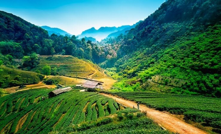 Doi Ang Khang, Chiang Mai Province, Thailand